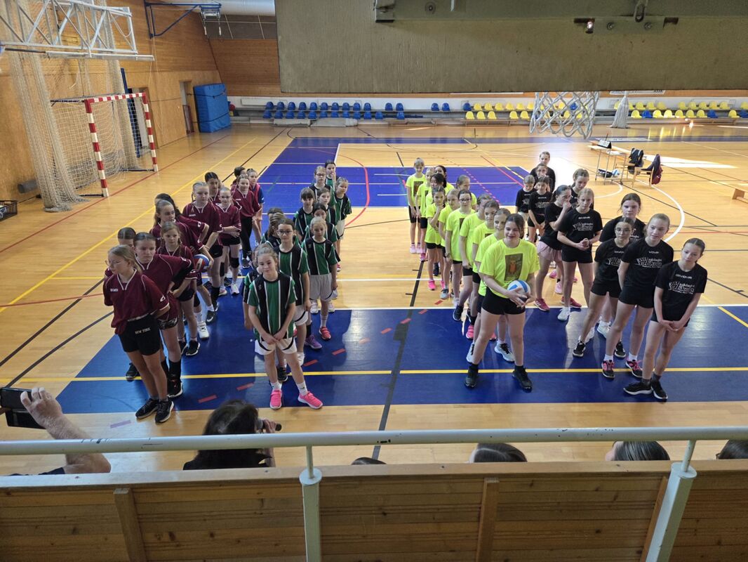 Okresní kolo ve vybíjené dívek
