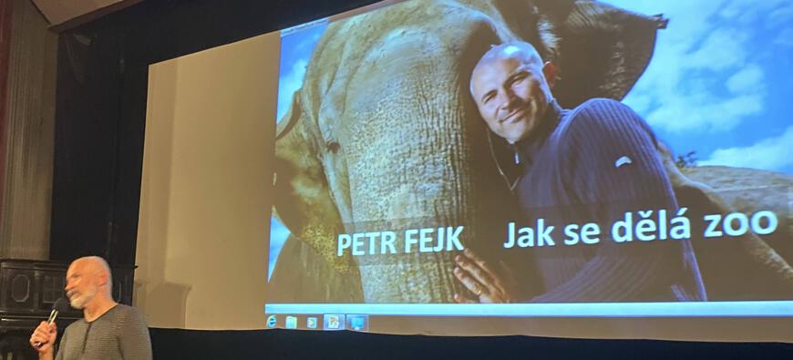 Jak se dělá ZOO