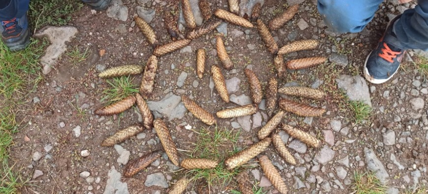 Odpolední výlet prvňáčků