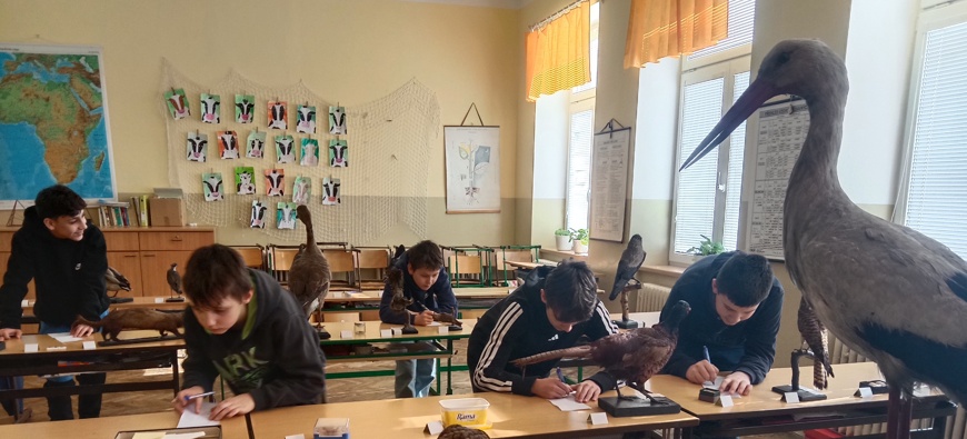 Školní kolo soutěže v poznávání živočichů