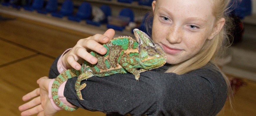 Den Země